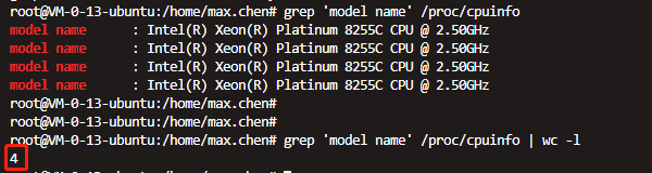 top命令或者从文件/proc/cpuinfo中读取系统CPU信息